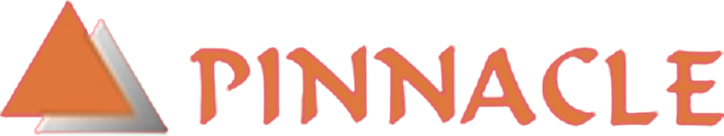 new-pinnaclelgs.consult-one.com